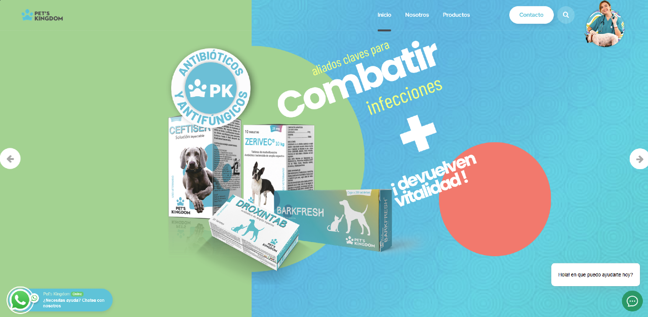 Portfolio Desarrollo Web